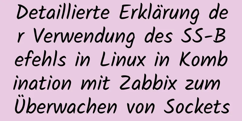 Detaillierte Erklärung der Verwendung des SS-Befehls in Linux in Kombination mit Zabbix zum Überwachen von Sockets