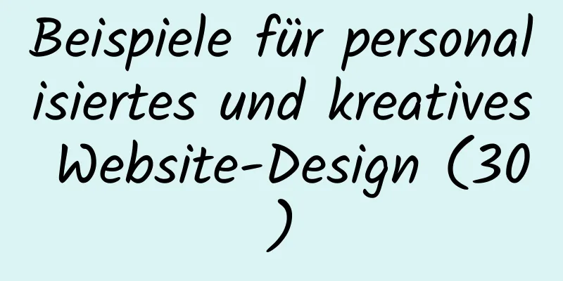 Beispiele für personalisiertes und kreatives Website-Design (30)