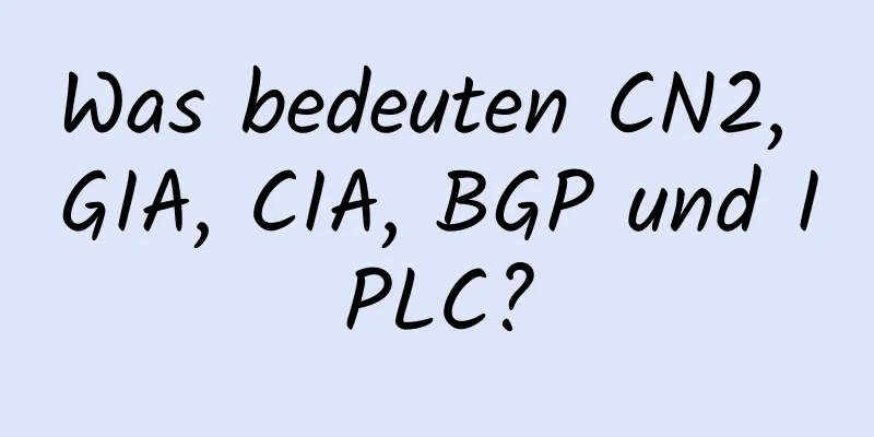 Was bedeuten CN2, GIA, CIA, BGP und IPLC?