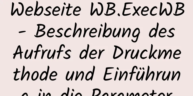 Webseite WB.ExecWB - Beschreibung des Aufrufs der Druckmethode und Einführung in die Parameter