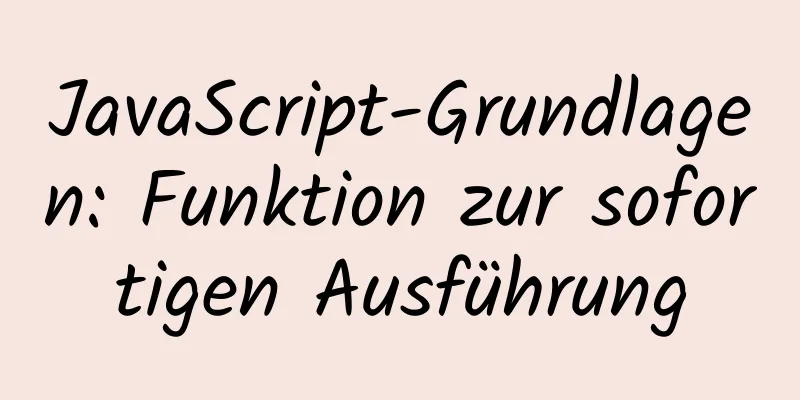 JavaScript-Grundlagen: Funktion zur sofortigen Ausführung