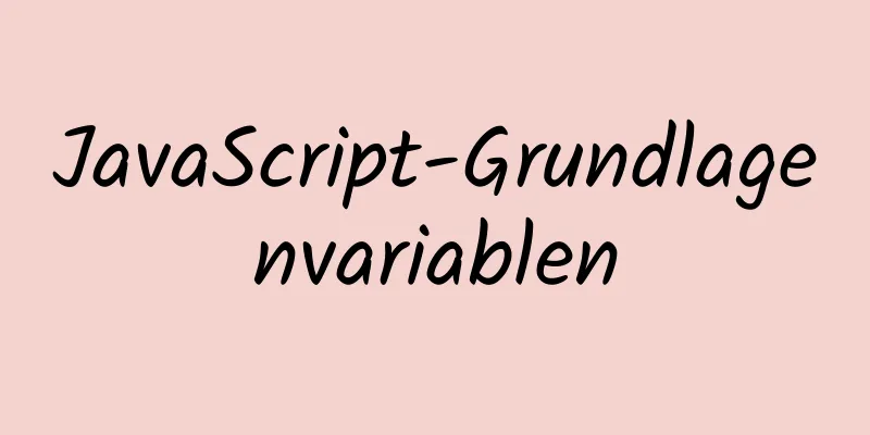 JavaScript-Grundlagenvariablen