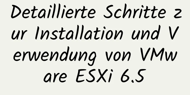 Detaillierte Schritte zur Installation und Verwendung von VMware ESXi 6.5