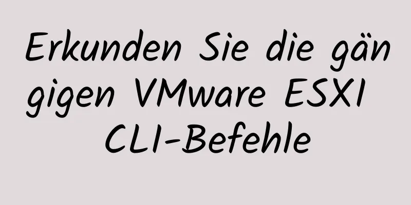 Erkunden Sie die gängigen VMware ESXI CLI-Befehle