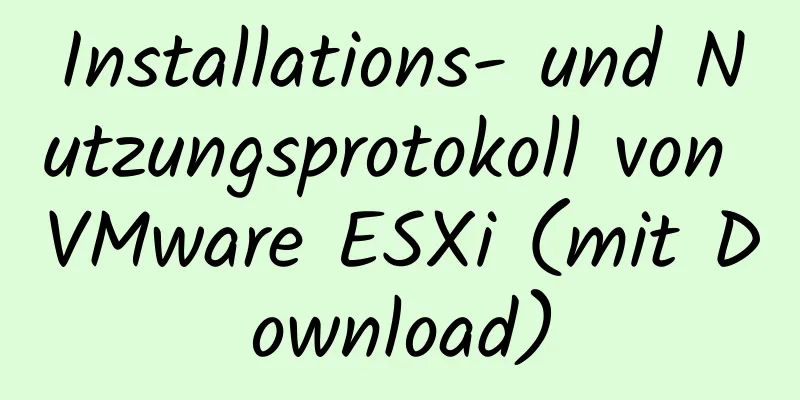 Installations- und Nutzungsprotokoll von VMware ESXi (mit Download)