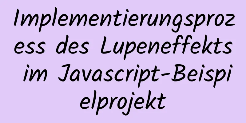 Implementierungsprozess des Lupeneffekts im Javascript-Beispielprojekt