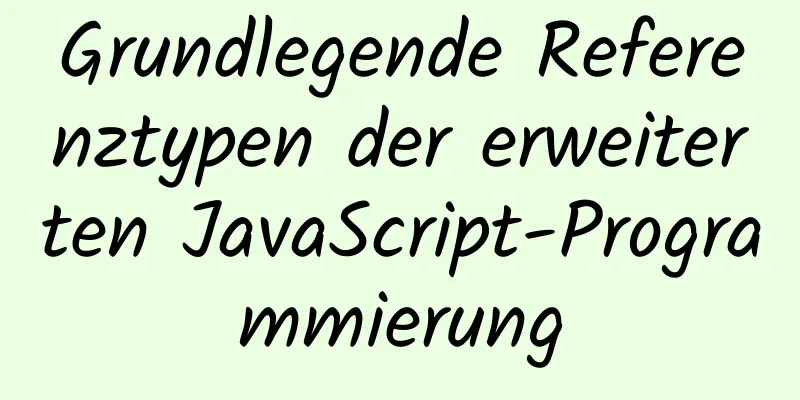 Grundlegende Referenztypen der erweiterten JavaScript-Programmierung