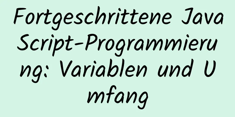 Fortgeschrittene JavaScript-Programmierung: Variablen und Umfang