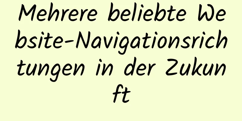 Mehrere beliebte Website-Navigationsrichtungen in der Zukunft