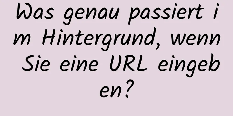 Was genau passiert im Hintergrund, wenn Sie eine URL eingeben?