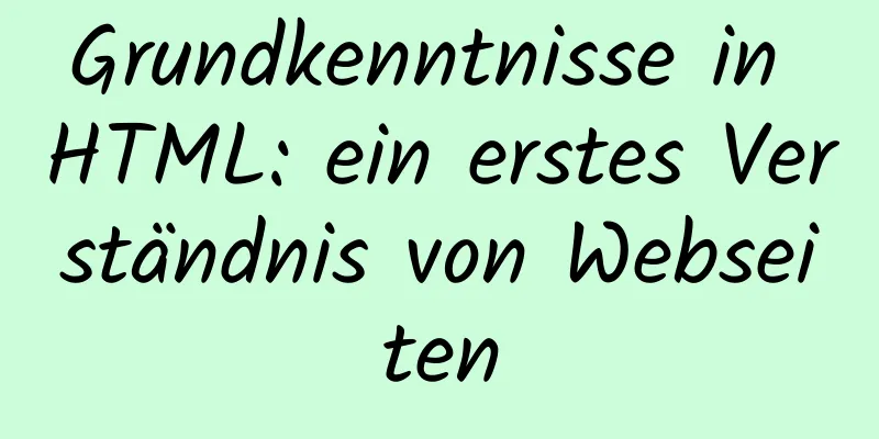 Grundkenntnisse in HTML: ein erstes Verständnis von Webseiten