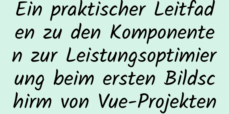 Ein praktischer Leitfaden zu den Komponenten zur Leistungsoptimierung beim ersten Bildschirm von Vue-Projekten