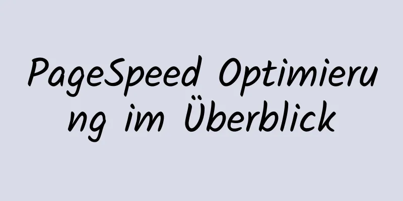 PageSpeed ​​Optimierung im Überblick