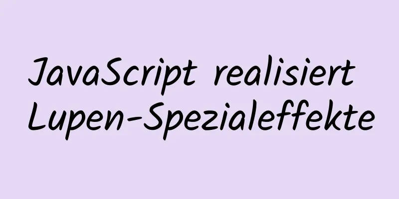 JavaScript realisiert Lupen-Spezialeffekte