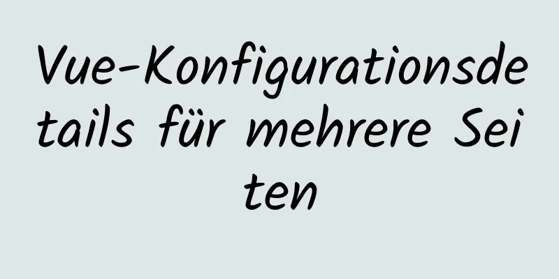 Vue-Konfigurationsdetails für mehrere Seiten