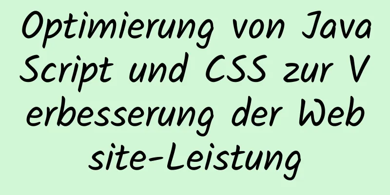 Optimierung von JavaScript und CSS zur Verbesserung der Website-Leistung