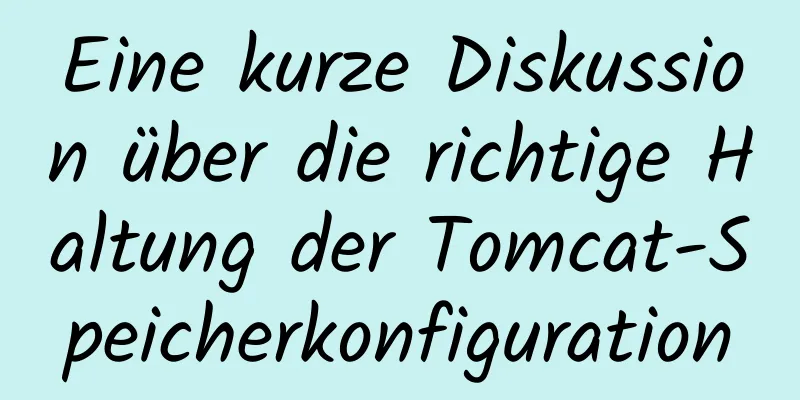 Eine kurze Diskussion über die richtige Haltung der Tomcat-Speicherkonfiguration