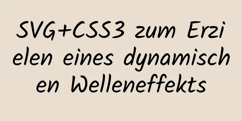 SVG+CSS3 zum Erzielen eines dynamischen Welleneffekts