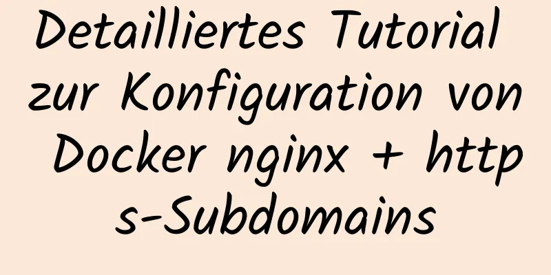 Detailliertes Tutorial zur Konfiguration von Docker nginx + https-Subdomains