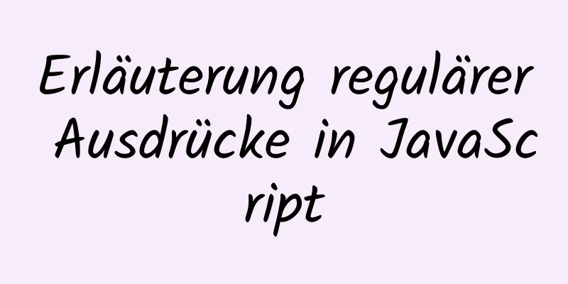 Erläuterung regulärer Ausdrücke in JavaScript