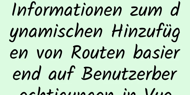 Informationen zum dynamischen Hinzufügen von Routen basierend auf Benutzerberechtigungen in Vue