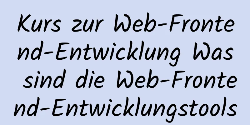 Kurs zur Web-Frontend-Entwicklung Was sind die Web-Frontend-Entwicklungstools