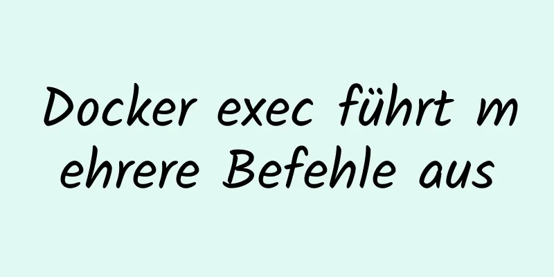 Docker exec führt mehrere Befehle aus