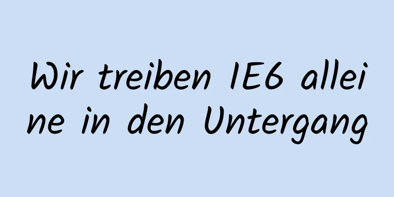 Wir treiben IE6 alleine in den Untergang