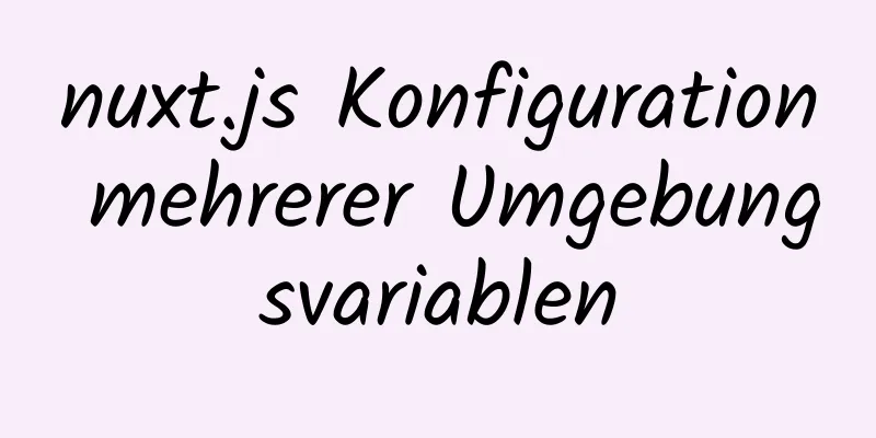 nuxt.js Konfiguration mehrerer Umgebungsvariablen