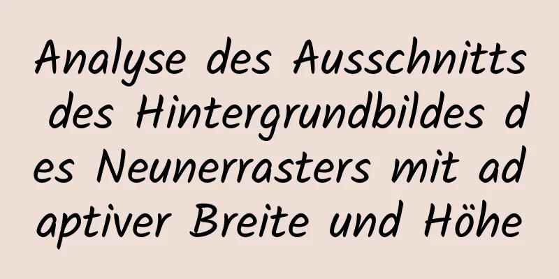 Analyse des Ausschnitts des Hintergrundbildes des Neunerrasters mit adaptiver Breite und Höhe