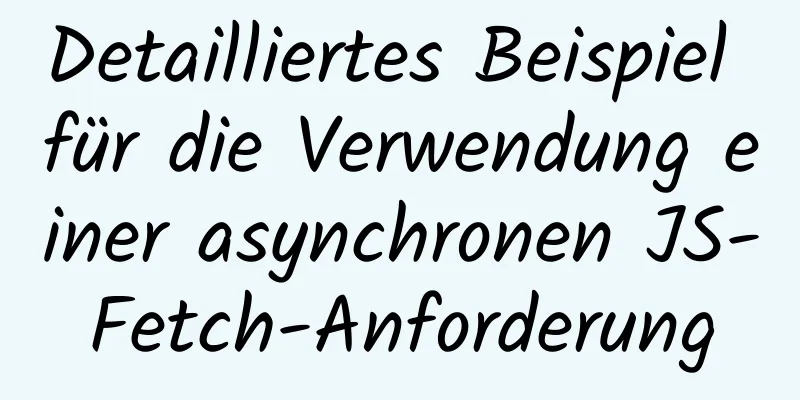 Detailliertes Beispiel für die Verwendung einer asynchronen JS-Fetch-Anforderung