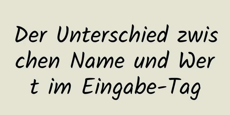 Der Unterschied zwischen Name und Wert im Eingabe-Tag