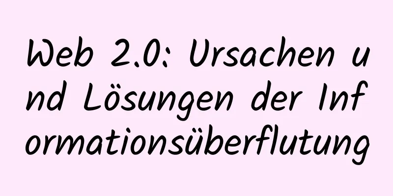 Web 2.0: Ursachen und Lösungen der Informationsüberflutung