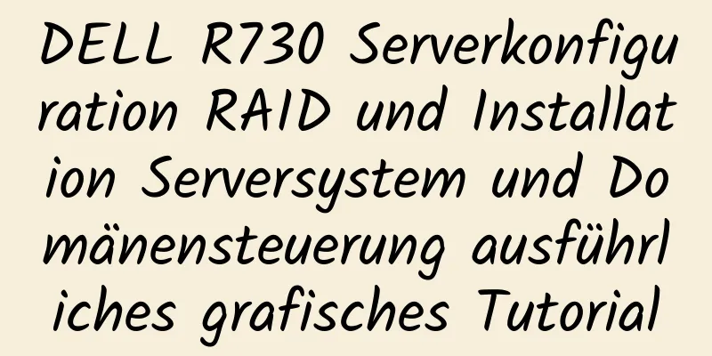 DELL R730 Serverkonfiguration RAID und Installation Serversystem und Domänensteuerung ausführliches grafisches Tutorial