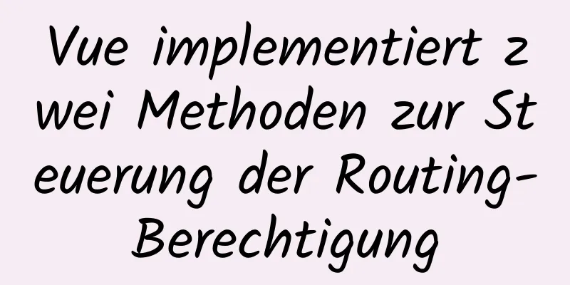 Vue implementiert zwei Methoden zur Steuerung der Routing-Berechtigung