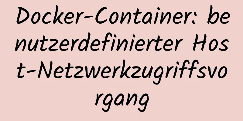 Docker-Container: benutzerdefinierter Host-Netzwerkzugriffsvorgang