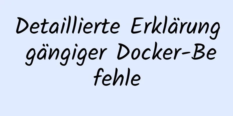 Detaillierte Erklärung gängiger Docker-Befehle