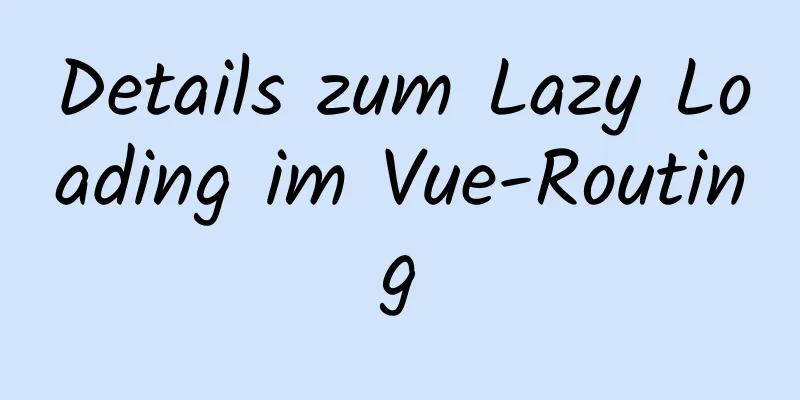 Details zum Lazy Loading im Vue-Routing