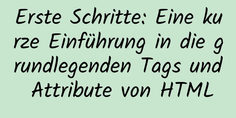 Erste Schritte: Eine kurze Einführung in die grundlegenden Tags und Attribute von HTML