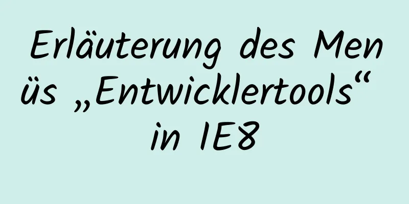 Erläuterung des Menüs „Entwicklertools“ in IE8