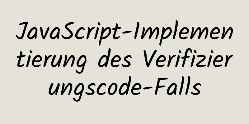 JavaScript-Implementierung des Verifizierungscode-Falls