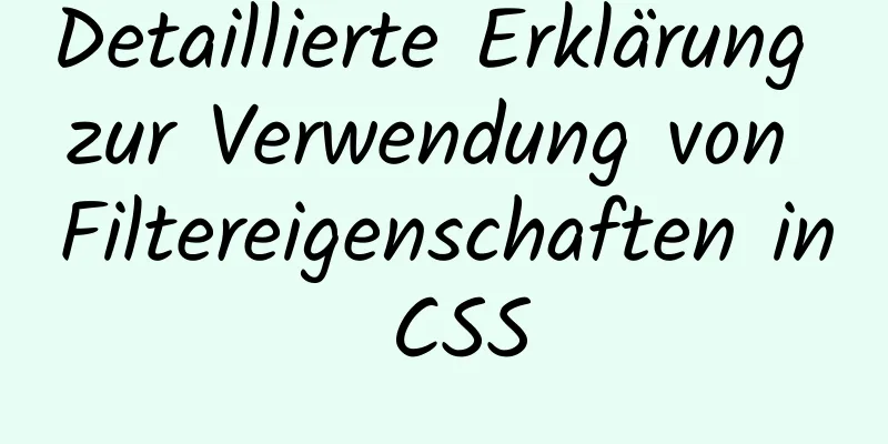 Detaillierte Erklärung zur Verwendung von Filtereigenschaften in CSS