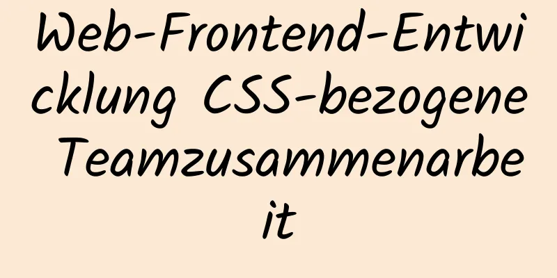 Web-Frontend-Entwicklung CSS-bezogene Teamzusammenarbeit