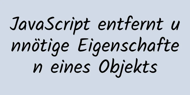 JavaScript entfernt unnötige Eigenschaften eines Objekts