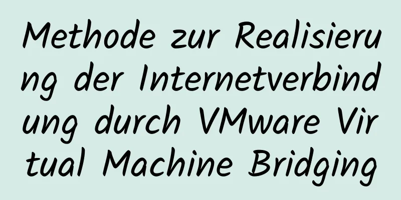 Methode zur Realisierung der Internetverbindung durch VMware Virtual Machine Bridging