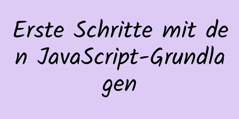 Erste Schritte mit den JavaScript-Grundlagen