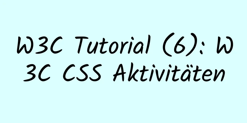 W3C Tutorial (6): W3C CSS Aktivitäten