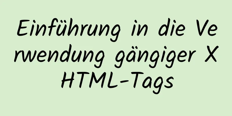 Einführung in die Verwendung gängiger XHTML-Tags