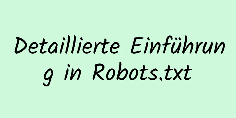 Detaillierte Einführung in Robots.txt