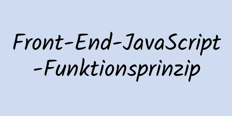 Front-End-JavaScript-Funktionsprinzip